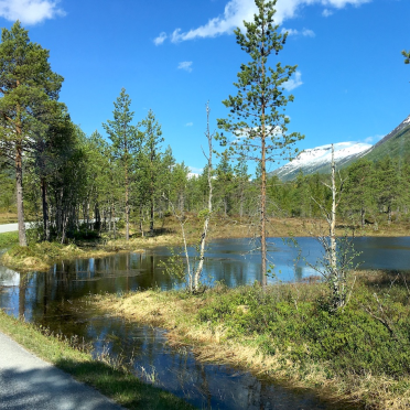 innerdalen