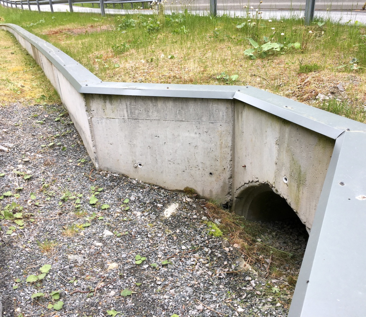 toad tunnel!