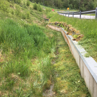 toad fence!
