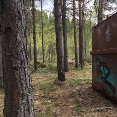 in the woods too