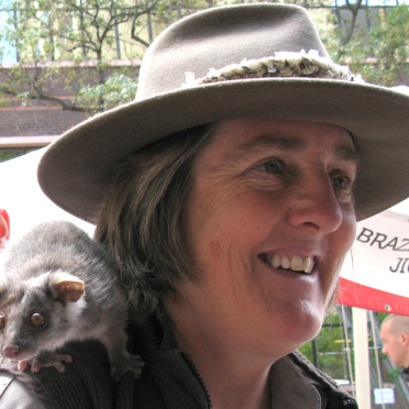ringtail