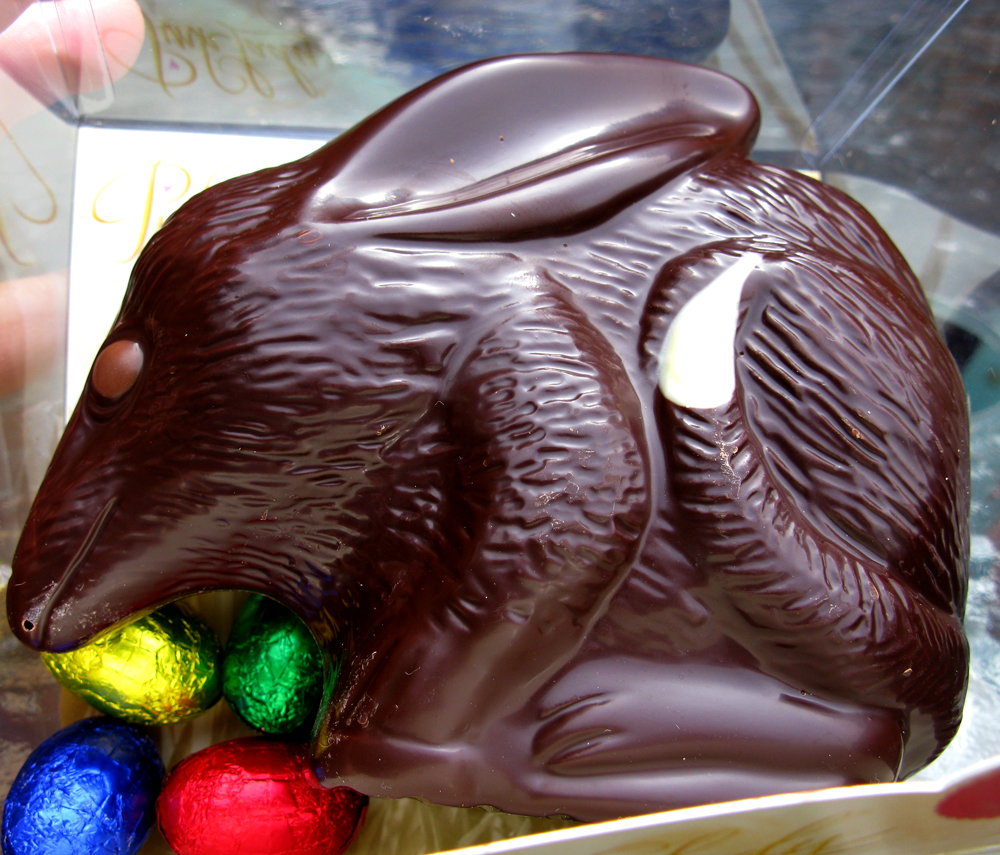 easter bilby