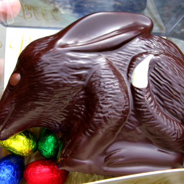 easter bilby