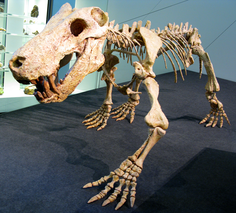Inostrancevia