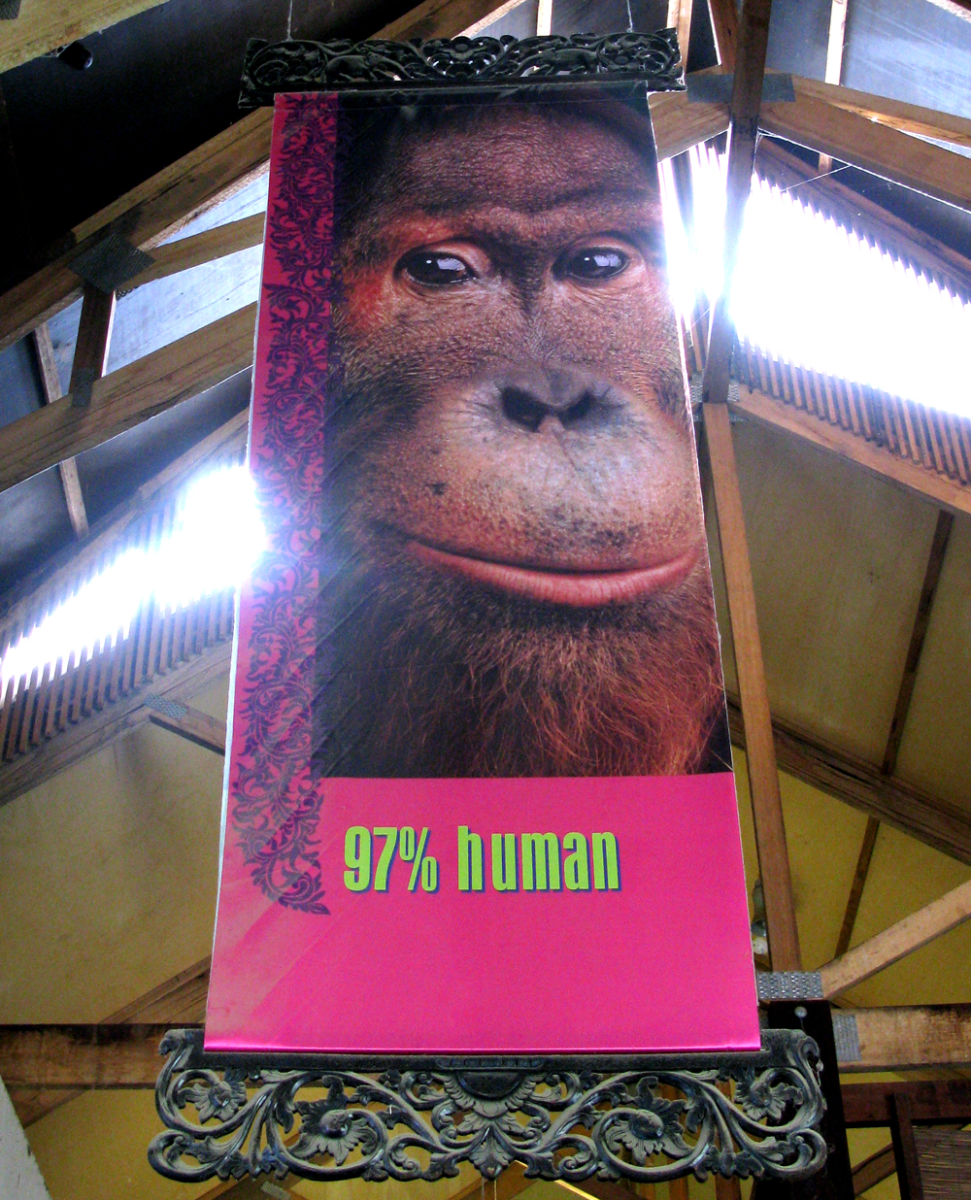 97%