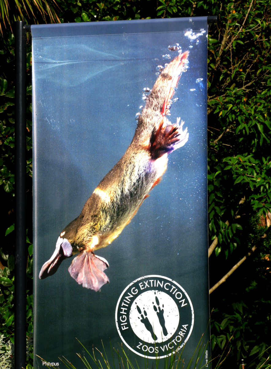 melbourne zoo