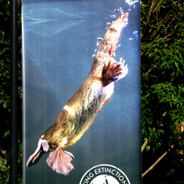 melbourne zoo