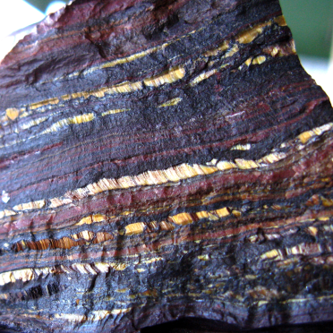 stromatolite