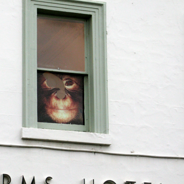 gertrude st