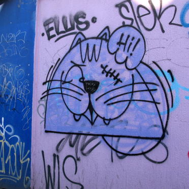 kitty