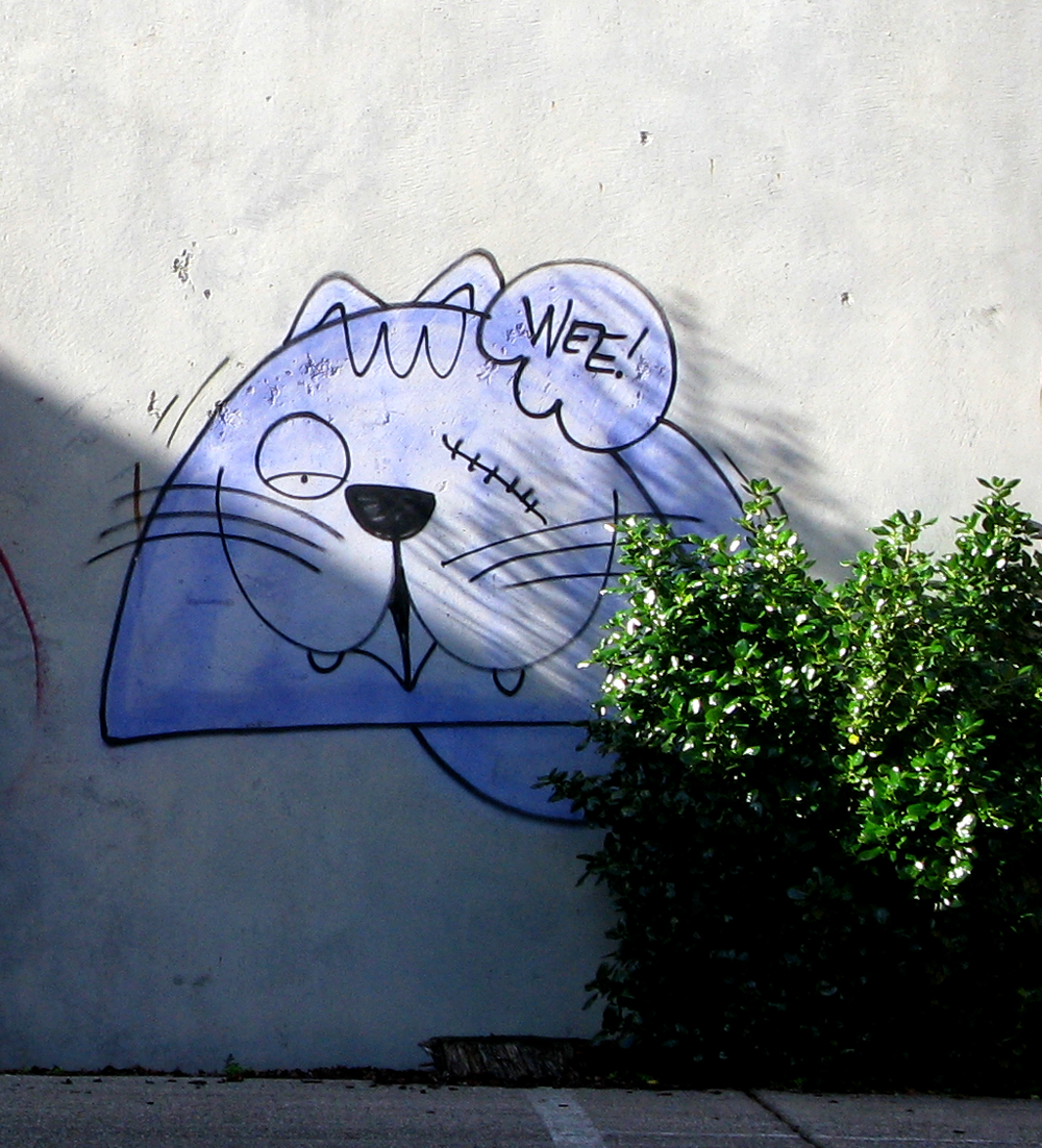 kitty again
