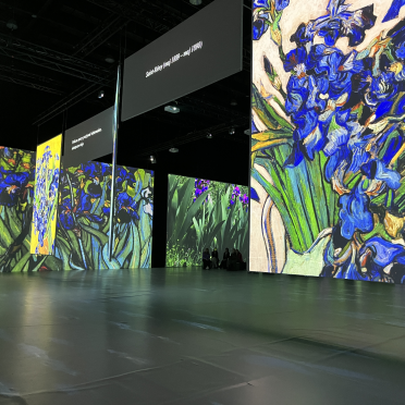 irises