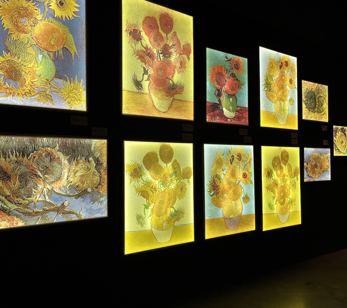 sunflowers hommage