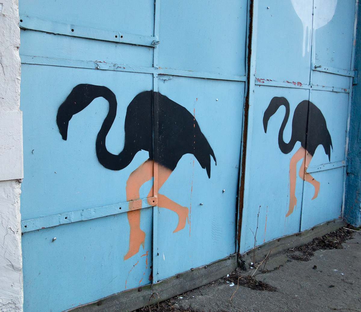 flamingos
