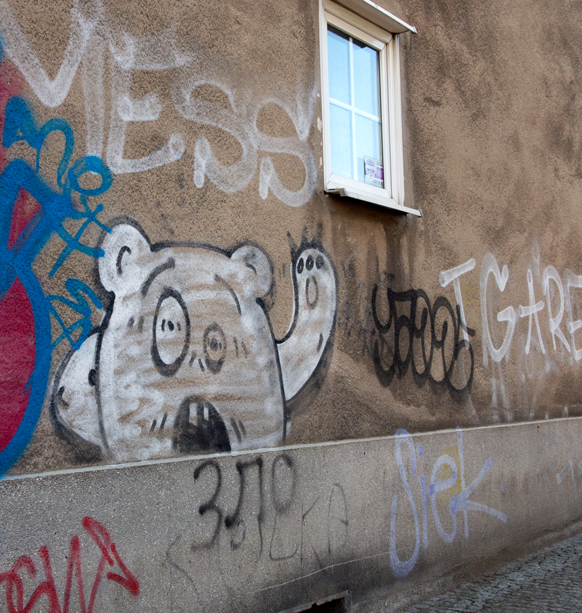 bear
