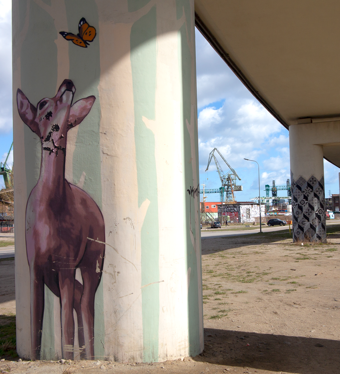 deer