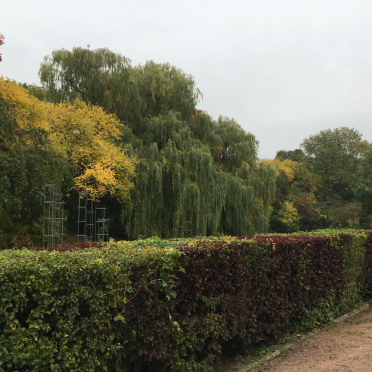 wild & manicured Gdynia