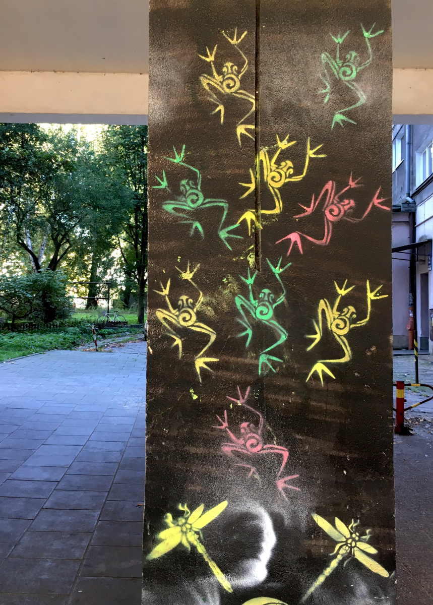 dancing frogs, frolicking dragonflies