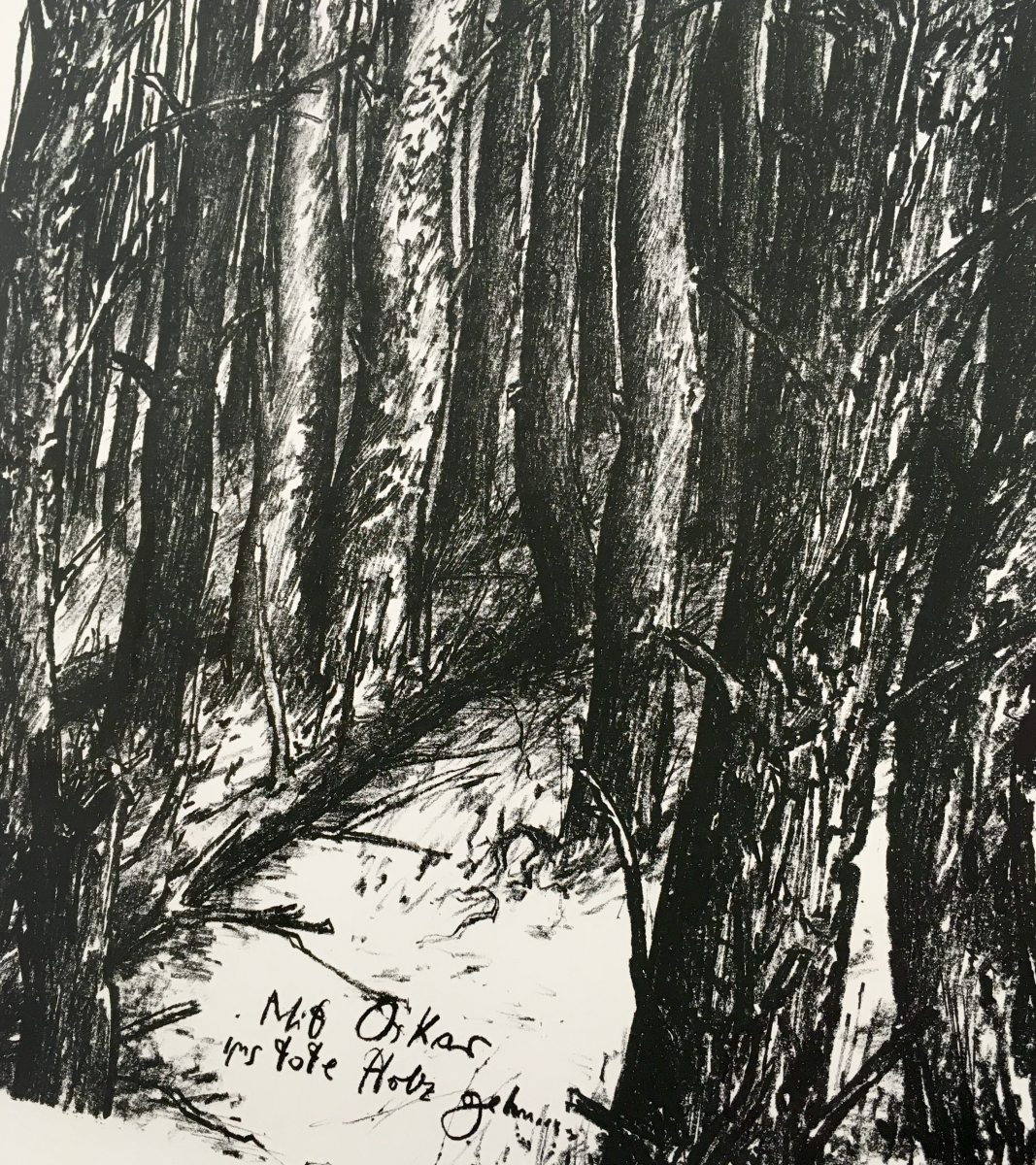 woods