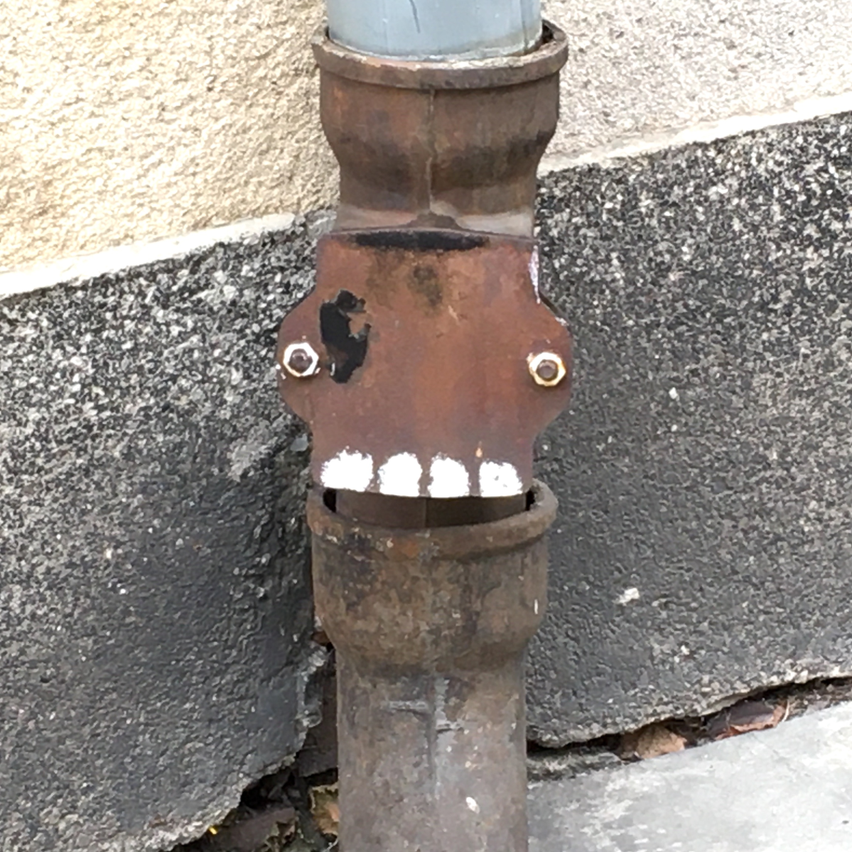 skull-drain