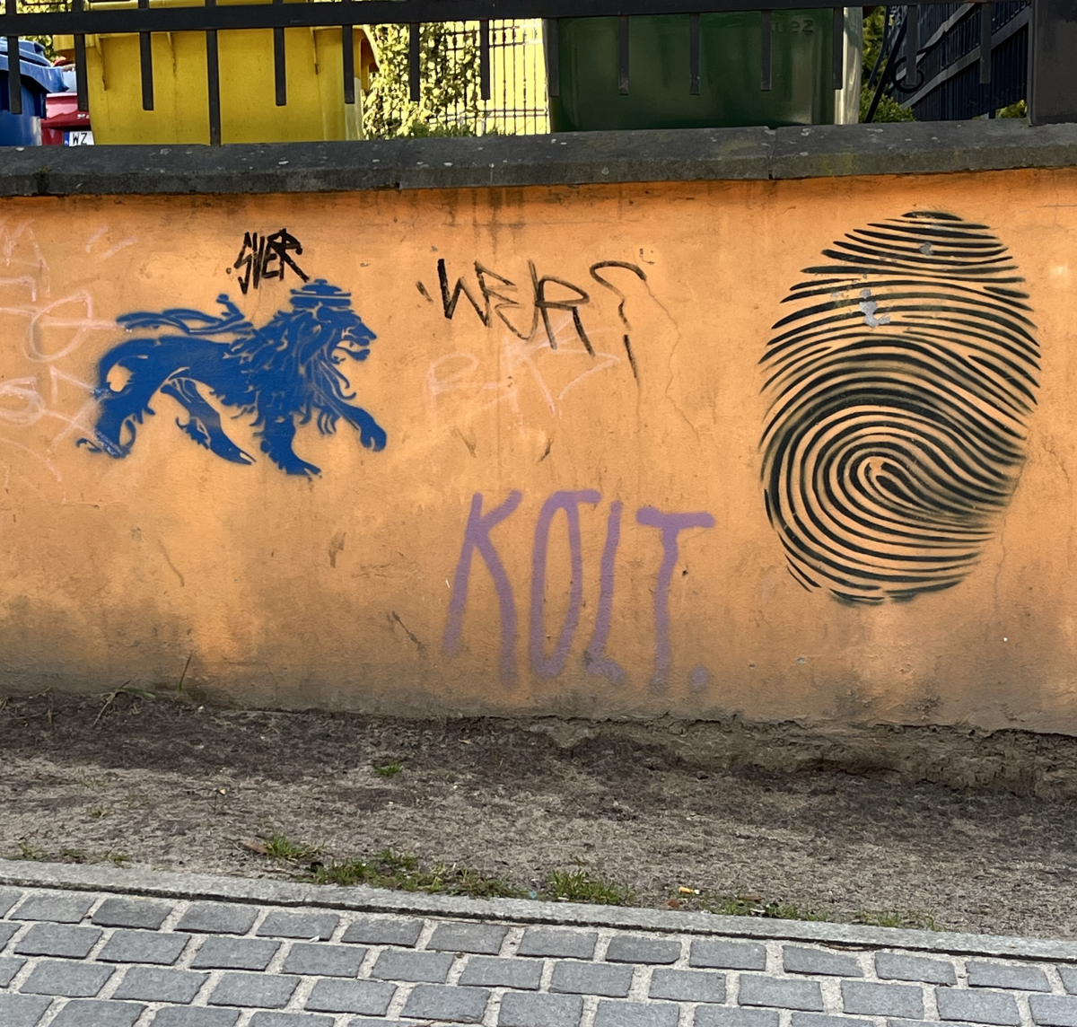 lion print