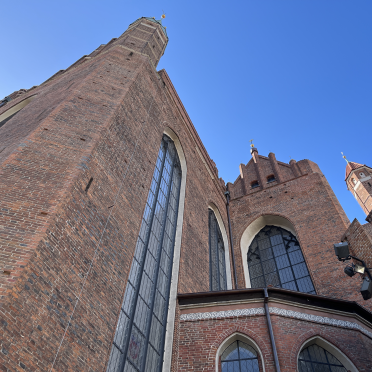 the basilica