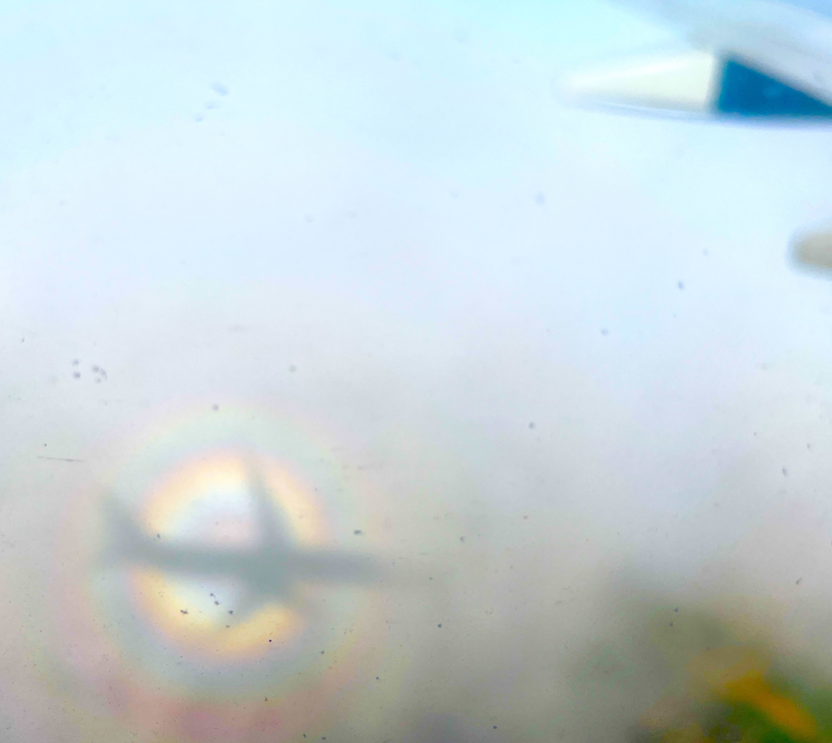 pilot's glory