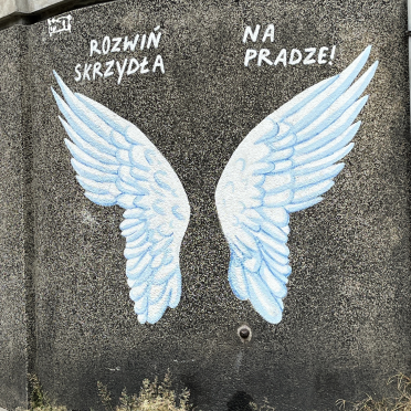 spread your wings
