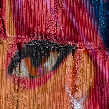 wall have eyes