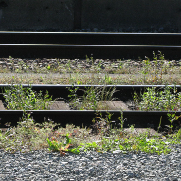 rails
