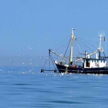 fishing