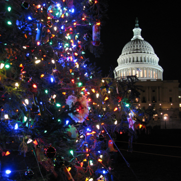 capitol xmas tree