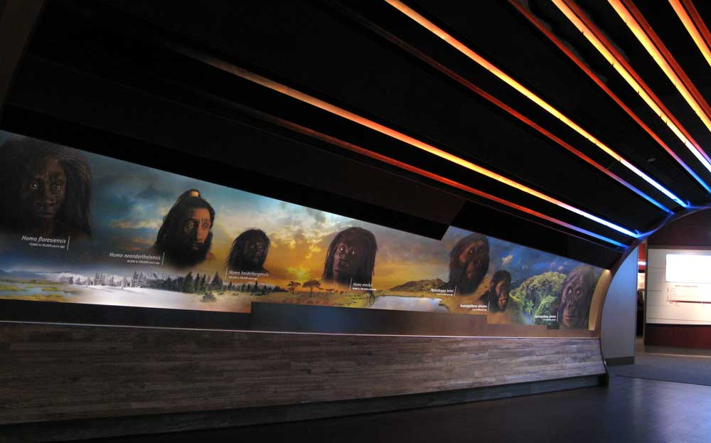 hall of human origins