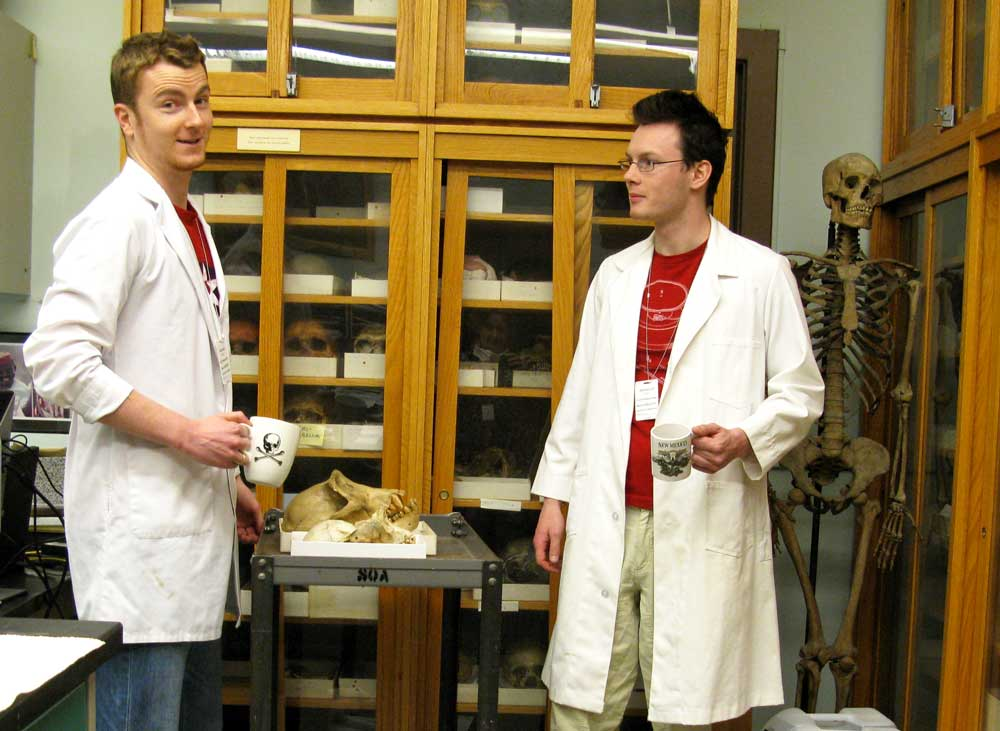 lab