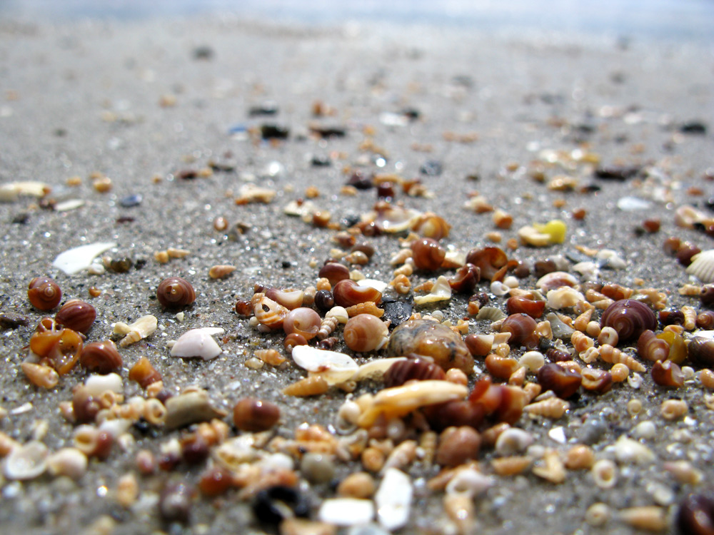 beach