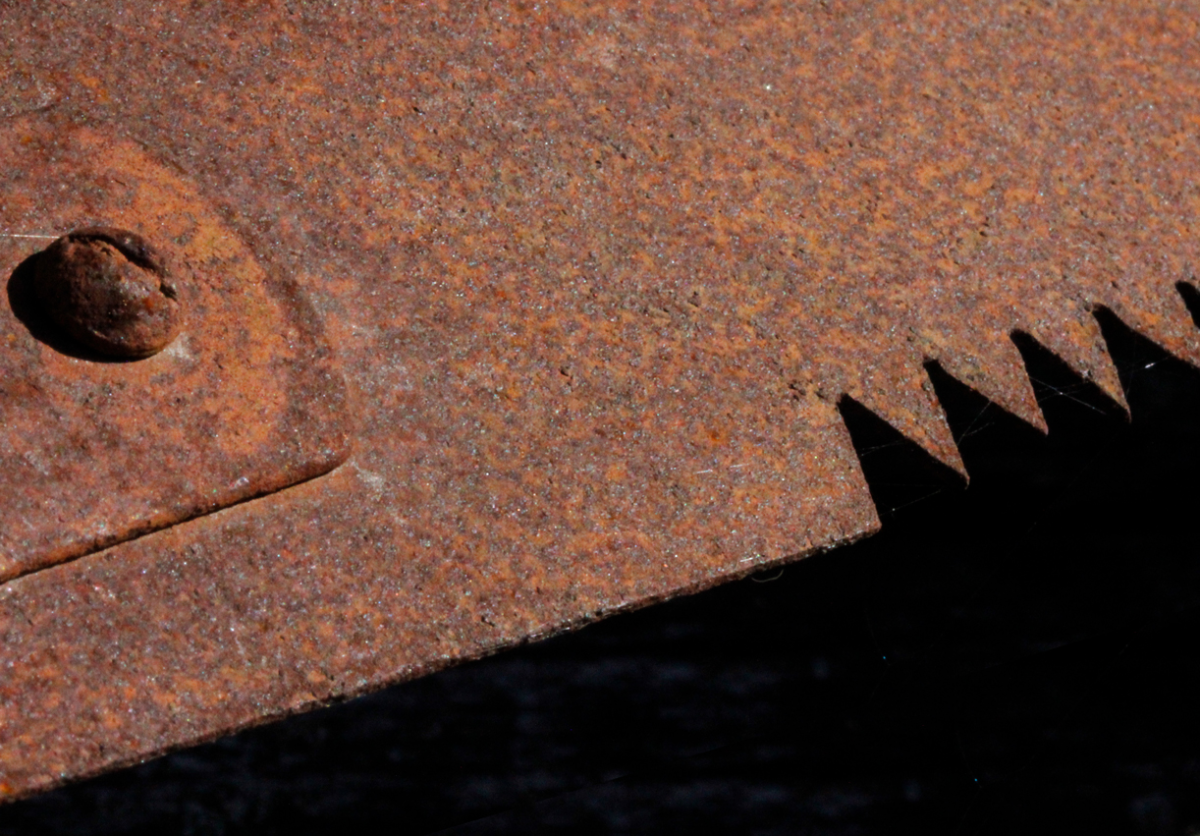 teeth