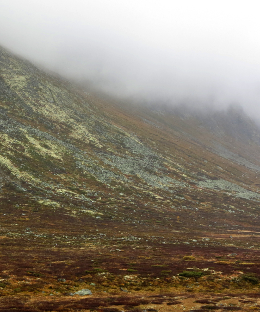 Hemsedalsfjellet