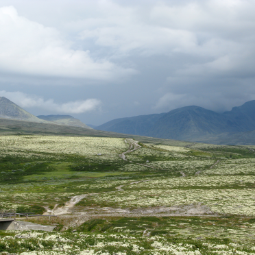 rondane