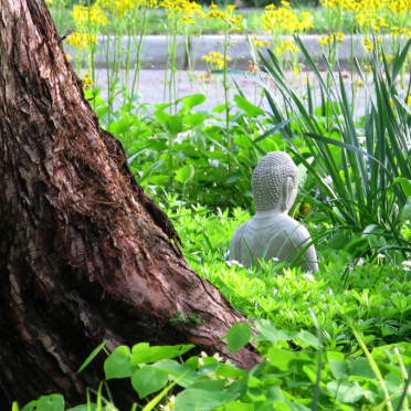 buddha