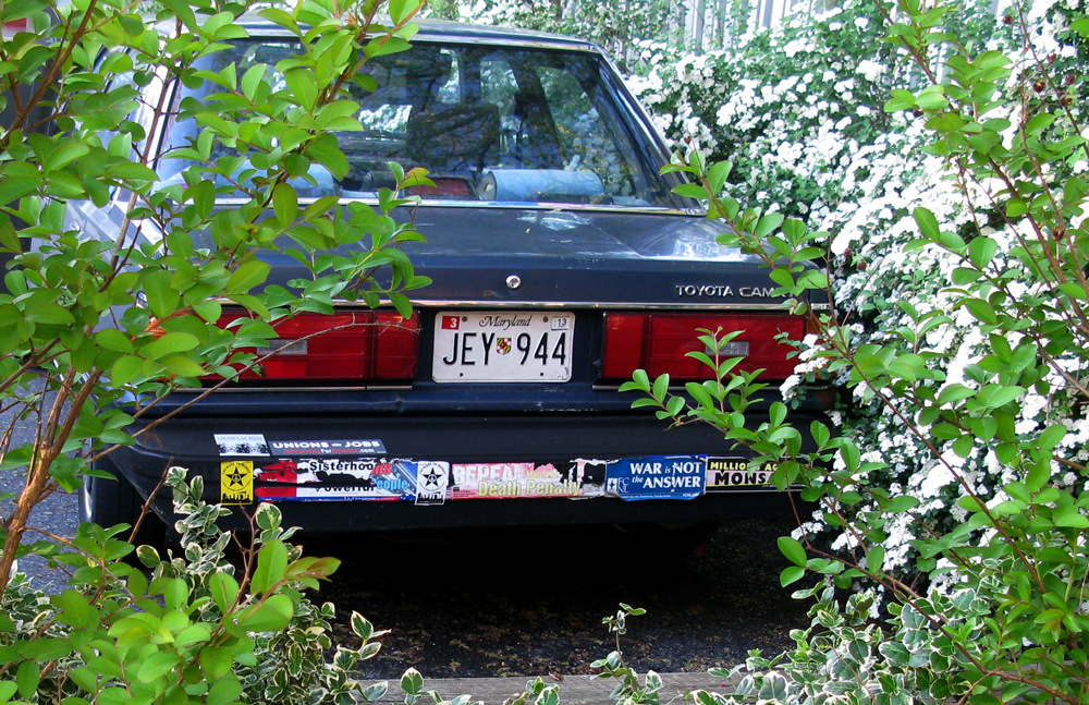 t's car