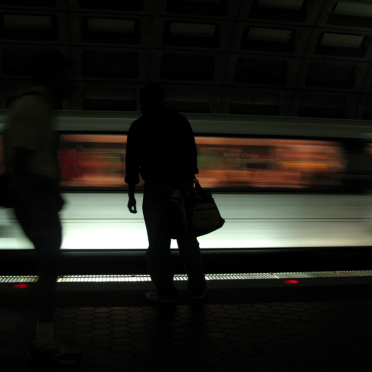 homeward bound