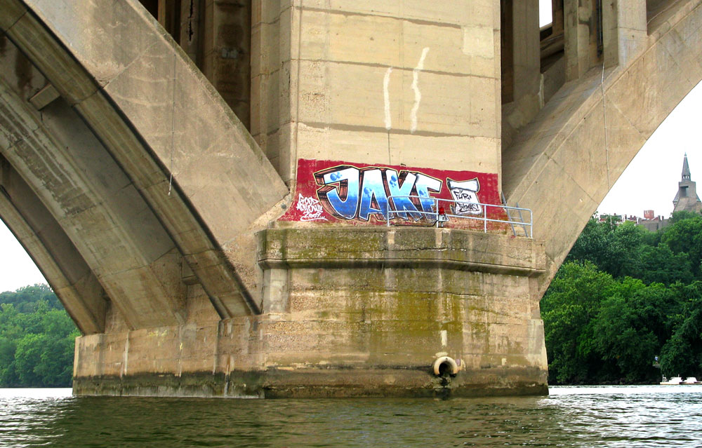 brave jake