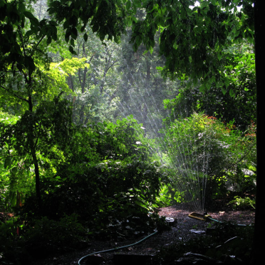 water of life