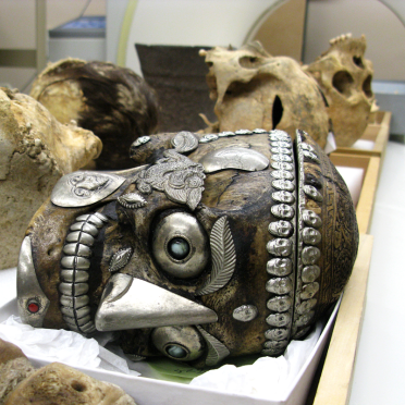 kapala skull