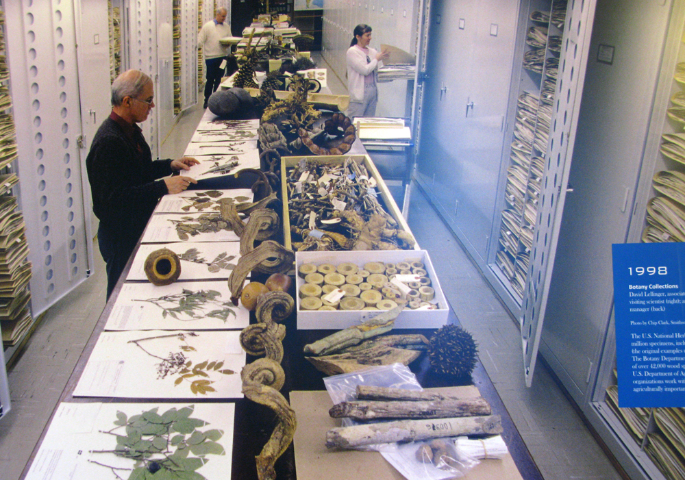 botany collection