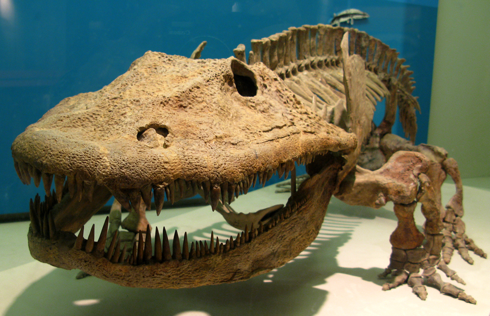 eryops