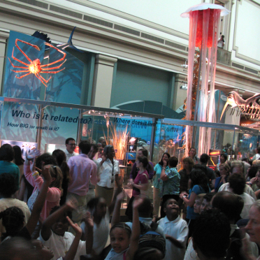 splashmob, ocean hall