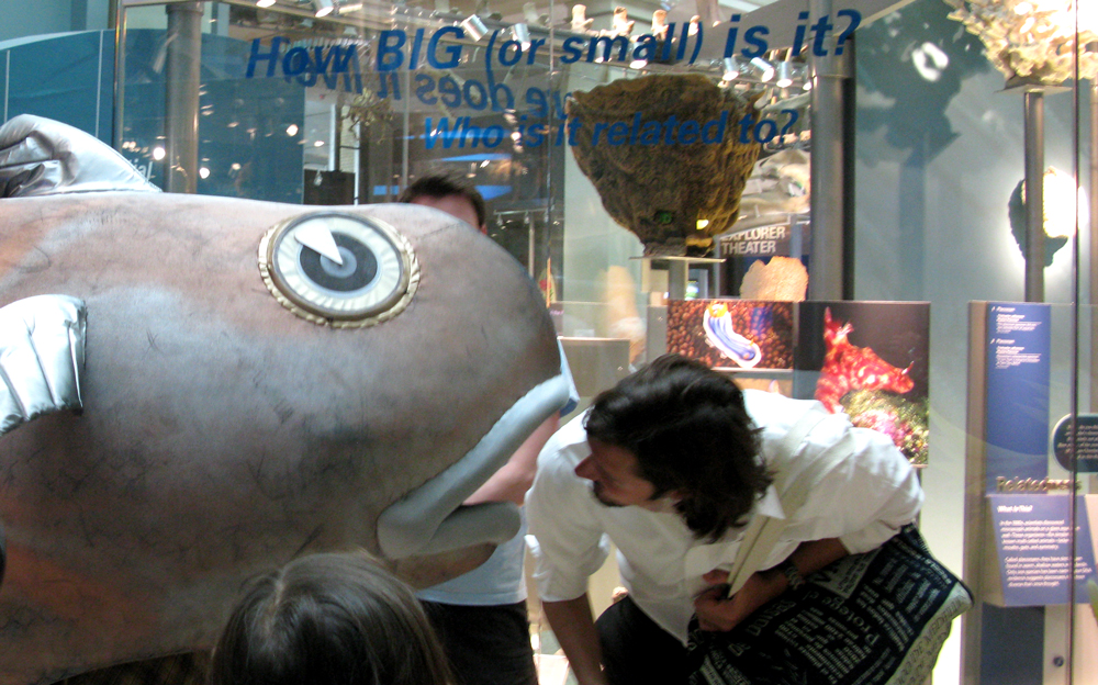 fish
