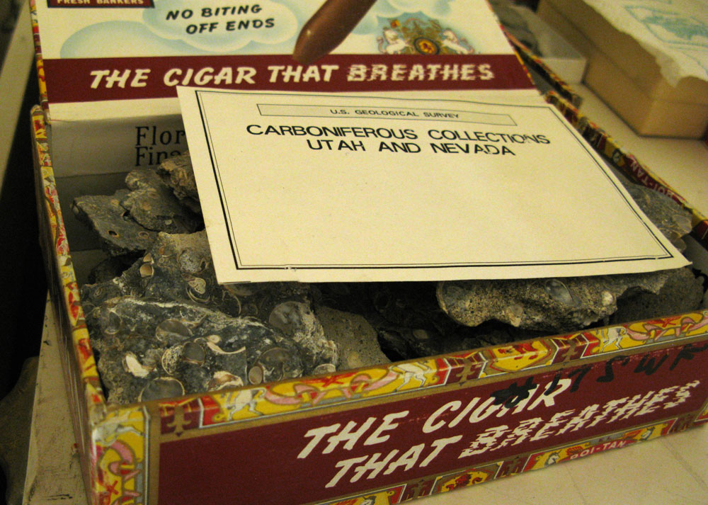 cigars & fossils