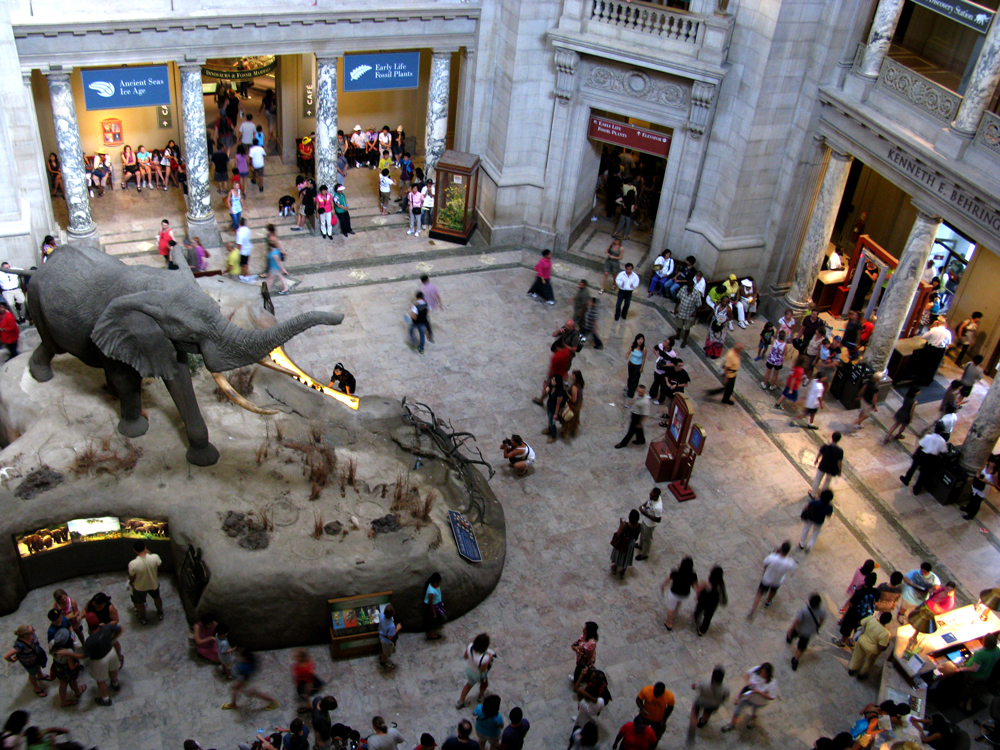 zoo/rotunda